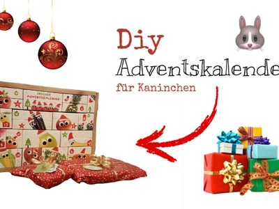 Diy Adventskalender für Kaninchen | Geschenke für Hermine | Hermine The Bunny