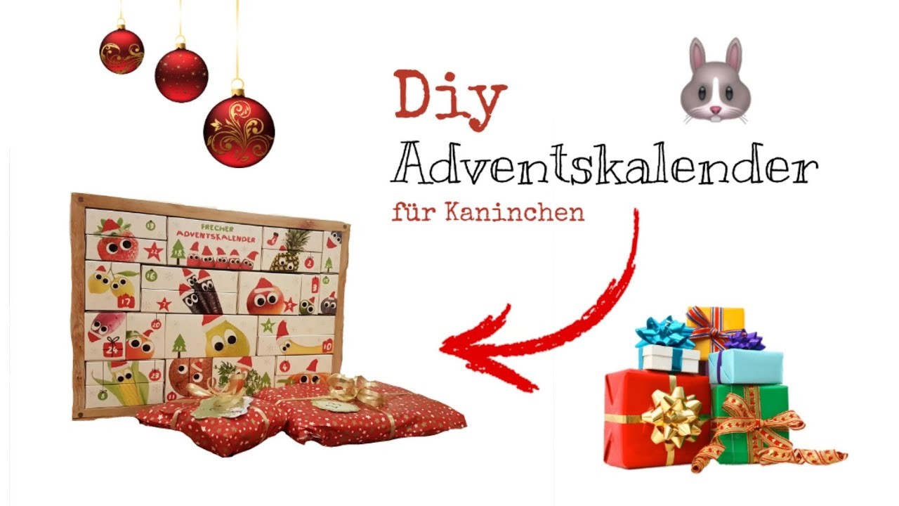 Diy Adventskalender für Kaninchen | Geschenke für Hermine | Hermine The Bunny