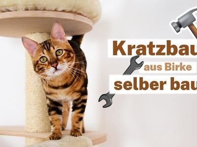 DIY Kratzbaum & Kletterwand für Katzen ???????? Katzenbaum selber machen ????????‍♀️???? Amely Rose & CatWalk