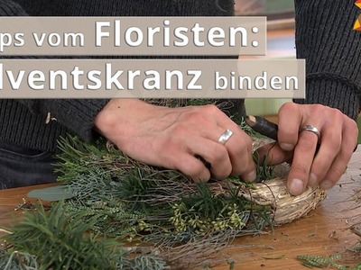 DIY: Einen Adventskranz selber binden | MDR Garten