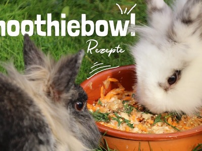 Smoothiebowl Rezepte für Kaninchen | Türchen 20 #tierzember