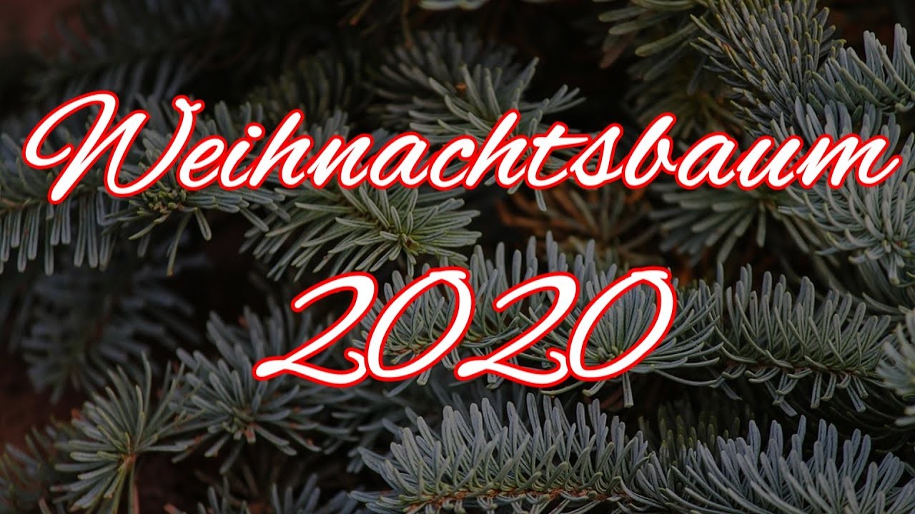 Weihnachtsbaum 2020 - Baum der Sehnsucht
