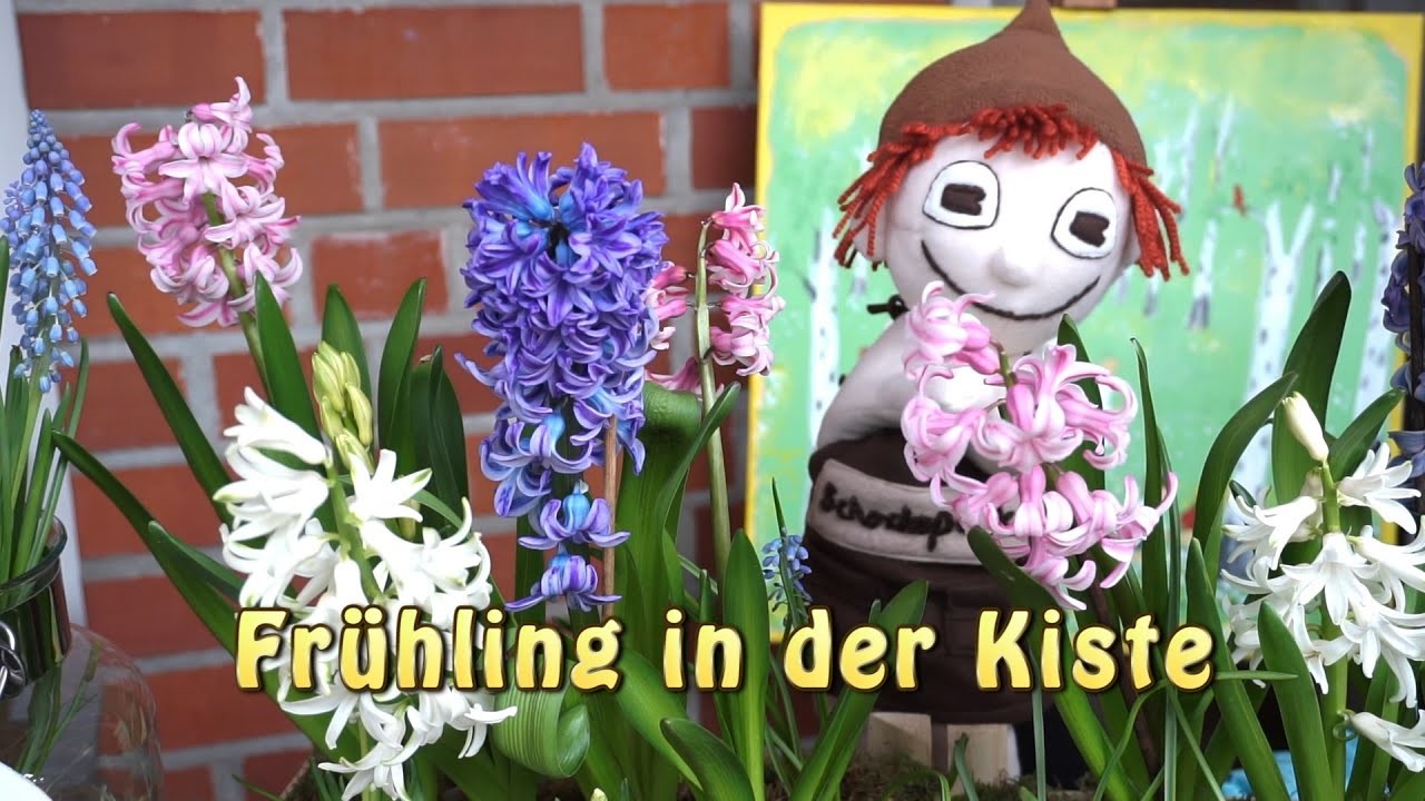 Frühling in der Kiste, DIY Blumendekoration in der Obstkiste, ein Schokopuck Film für Groß und Klein