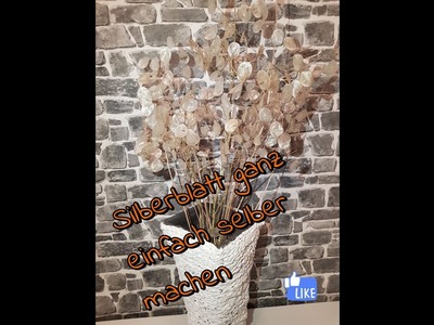 DIY. Das Wunderschönste Geschenk der Natur. Lunaria annua ????