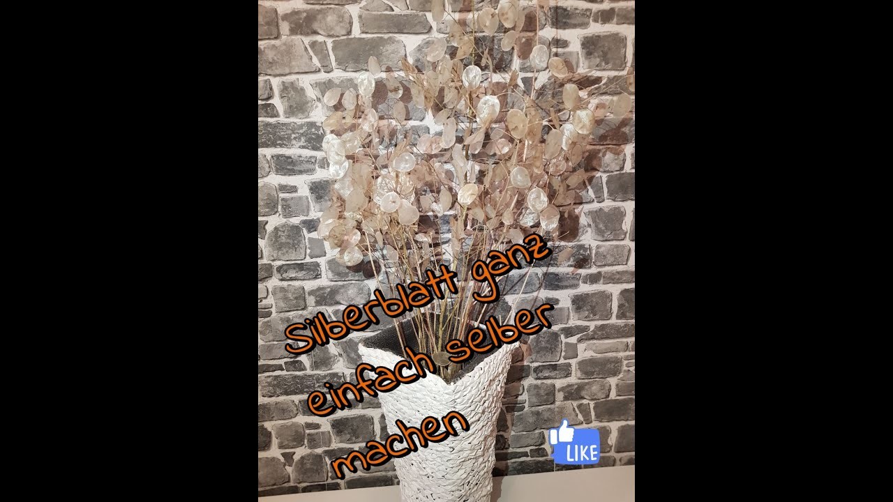 DIY. Das Wunderschönste Geschenk der Natur. Lunaria annua ????