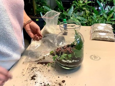 Ein Wald im Glas - zum Selbermachen. Las w słoiku - zrób to sam