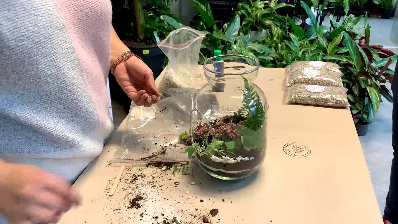 Ein Wald im Glas - zum Selbermachen. Las w słoiku - zrób to sam