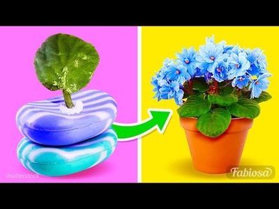 Pflanzenpflege: 8 Erste-Hilfe-Tipps für Zimmerpflanzen