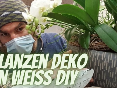 Pflanzenschale in weiss - Floristik DIY Anleitung - Tisch Deko idee zum selber machen Pflanzendeko
