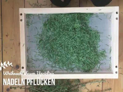 Weihnachtsbaum Upcycling Nadeln Pflücken