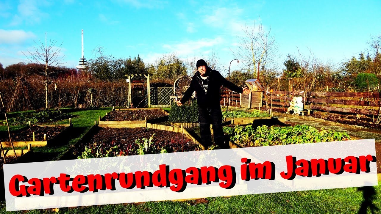 Gartenrundgang im Januar. Beete vorbereiten, wie halten wir den Boden fruchtbar. jetzt noch ernten