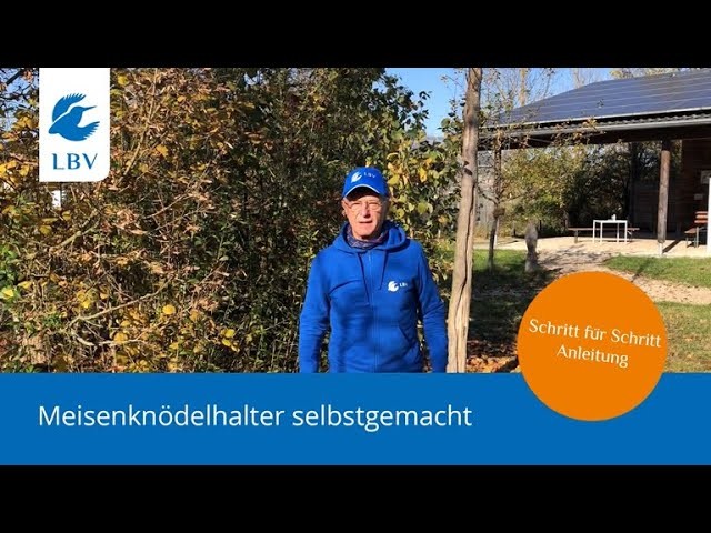 Meisenknödelhalter einfach selbst gemacht