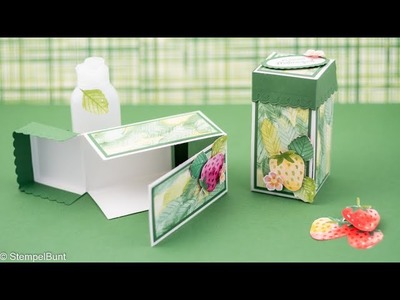 ANLEITUNG - Box mit Effekt für Desinfektionsmittel - Goodie - Geschenk - Stampin'Up!®