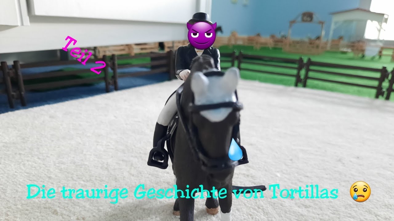 Die traurige Geschichte von Tortillas ????  2.2