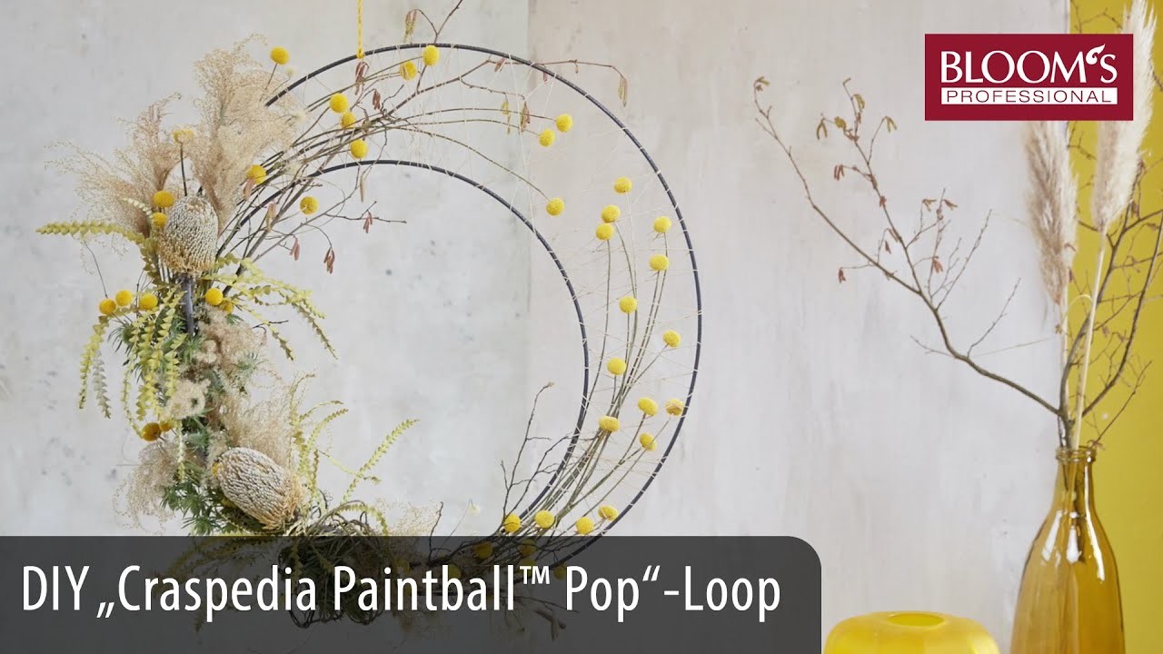 DIY-Loop mit „Craspedia Paintball™ Pop“ | Trendwochen 2021  | Floral Design | BLOOM's Floristik
