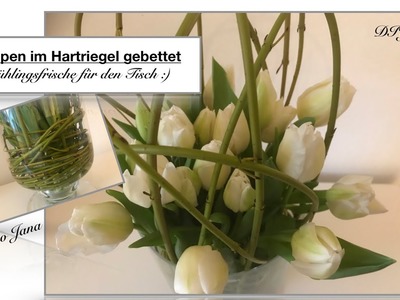 DIY: Wohn.- und Deko Idee, Frühlingserwachen.  Tulpe küsst Hartriegel (How to). Deko Jana????