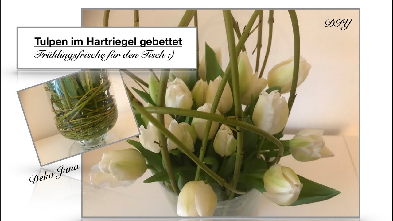 DIY: Wohn.- und Deko Idee, Frühlingserwachen.  Tulpe küsst Hartriegel (How to). Deko Jana????