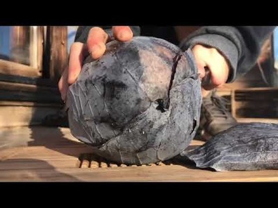 Futter für die Kaninchen im Winter zubereiten ????????❄️