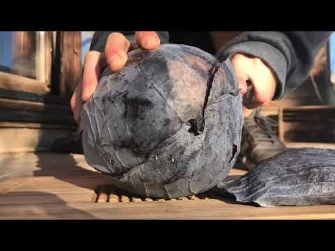 Futter für die Kaninchen im Winter zubereiten ????????❄️