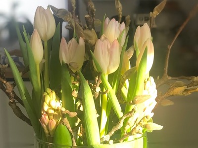 DIY Frühlingsstrauß Tulpen