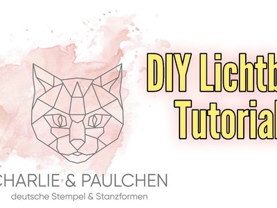 ✨Lichtbox | Produktvorstellung und Tutorial | Licht-Würfel basteln✨