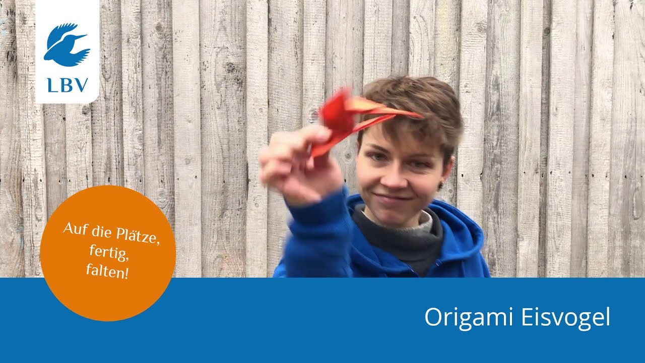 Eisvogel Origami