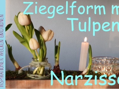 Frühjahrs Deko mit gewachsten Tulpen | Ziegelform mit Tulpen und Narzissen