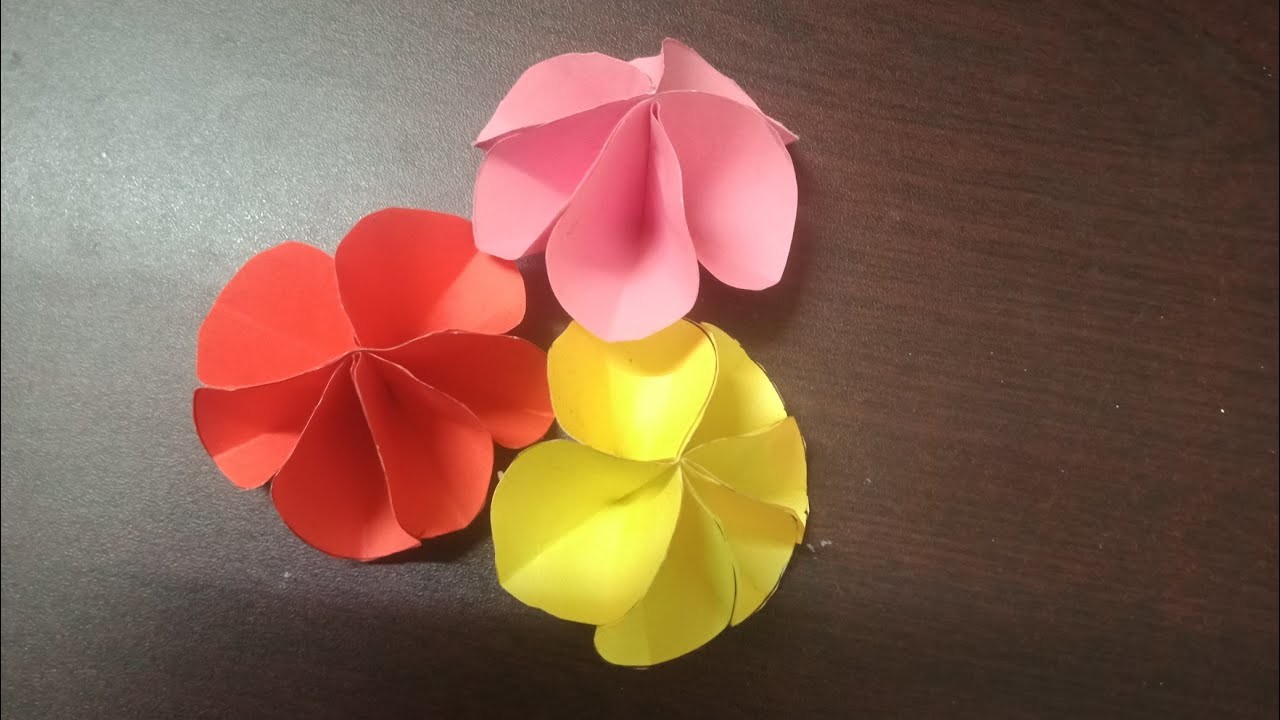 DIY paper flowers ????