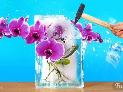 Einfache Möglichkeiten, damit Orchideen wieder blühen und gedeihen
