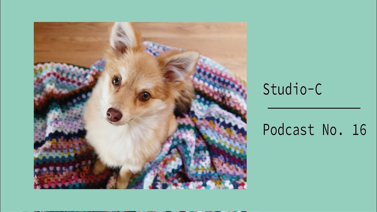 Studio-C Podcast No. 16, Strickprojekte und meine Woll-Sammlung