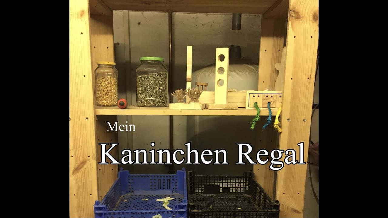 Mein Kaninchen Zubehör????. @kaninchen_puschel
