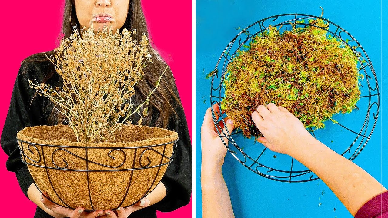Einzigartige Deko-Ideen für Pflanzen in deinem Zuhause