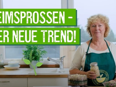 Keimsprossen selber ziehen