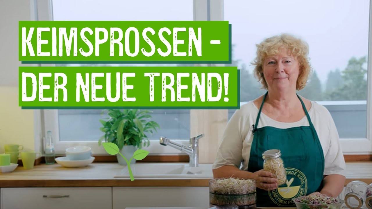 Keimsprossen selber ziehen