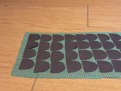 Modell Fischhaut Oberschule Bad Gandersheim