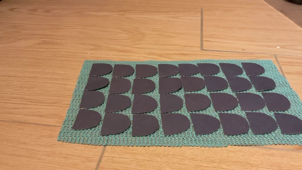 Modell Fischhaut Oberschule Bad Gandersheim