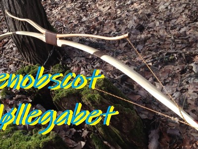 Penobscot Bow - Møllegabet Elm and Yew