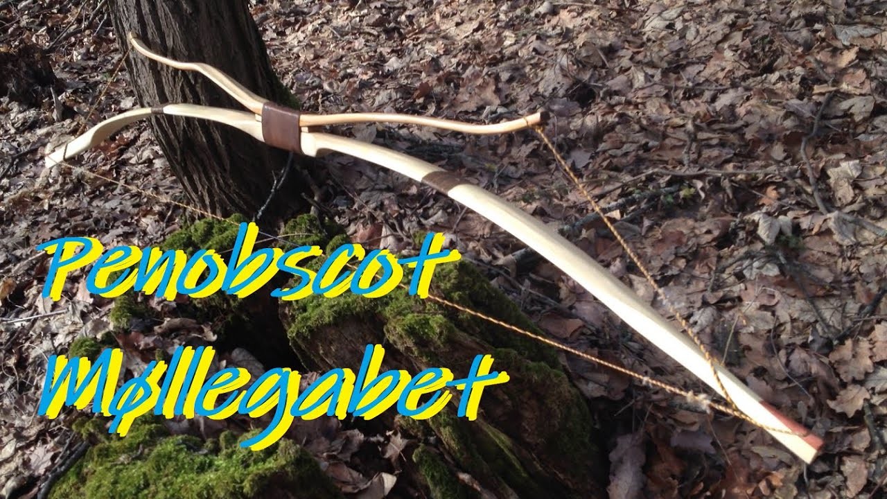 Penobscot Bow - Møllegabet Elm and Yew