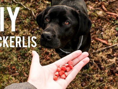 DIY Leckerlis (mit oder ohne Backmatte)