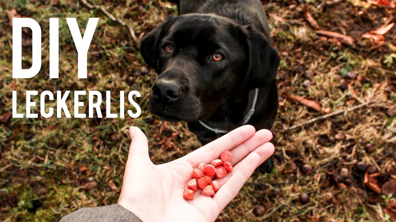 DIY Leckerlis (mit oder ohne Backmatte)