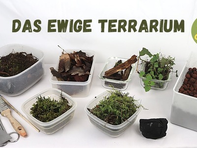 Das Ewige Terrarium | Hermetosphäre DIY#1