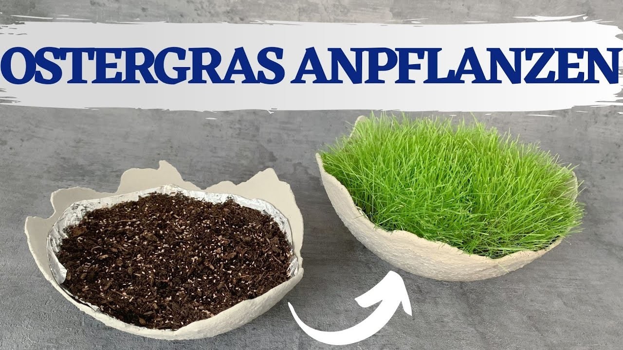 ???? DIY – Ostergras anpflanzen | Kreative Osterideen | OSTERN 2021