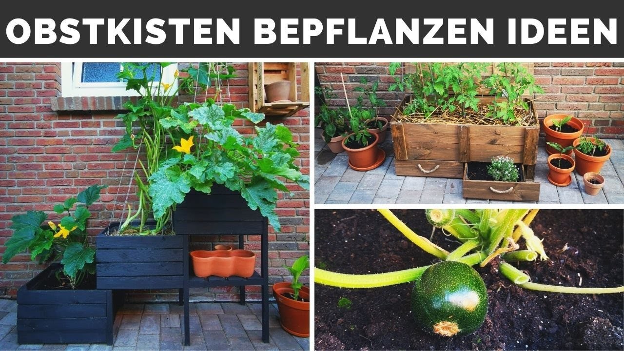Garten - Balkon - Terrasse Deko Ideen - Obstkisten Hochbeet bauen - Holzkisten bepflanzen gestalten