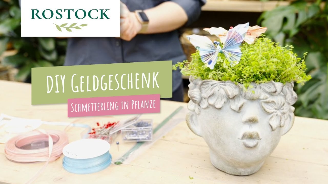 DIY Geldgeschenk Schmetterling - Ganz einfach in 5 Minuten!