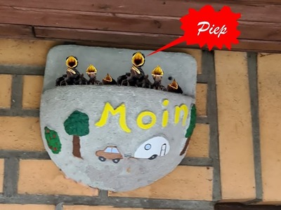 Schwalbennest aus Beton