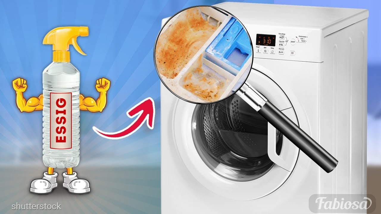 Sie wollen frische Wäsche? Sie müssen Ihre Waschmaschine JETZT reinigen