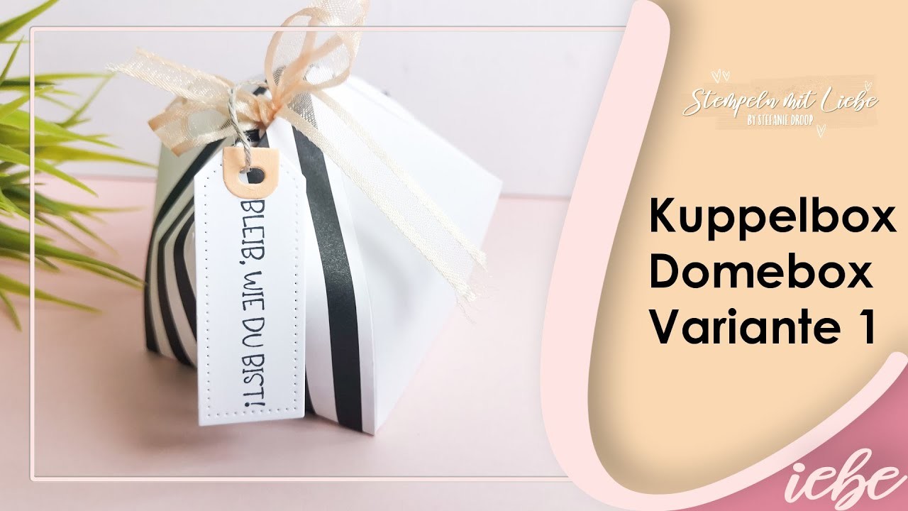Stampin' Up! | Anleitung: Kuppelbox | Domebox Variante Nr. 1 mit 2 Designpapieren