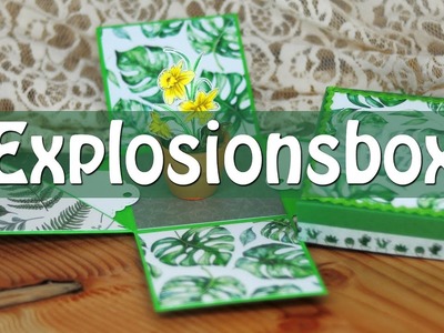 Explosionsbox DIY - Grundanleitung