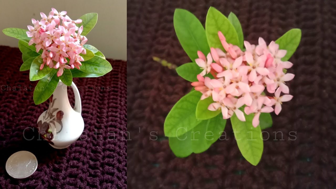 ดอกเข็มชมพูแคระในแจกันบนผ้าคลุมโต๊ะโครเชต์สีน้ำตาล