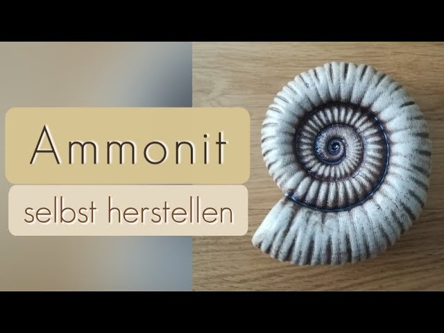 Töpfern: Ammonit (Schnecke) selber machen  - DIY Tutorial Ammonite